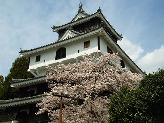 Iwakuni castle tower