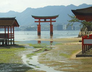 Ohtorii in Itsukushima